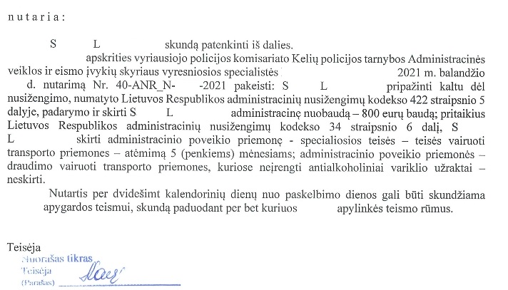 Teismo sprendimo rezoliucinė dalis