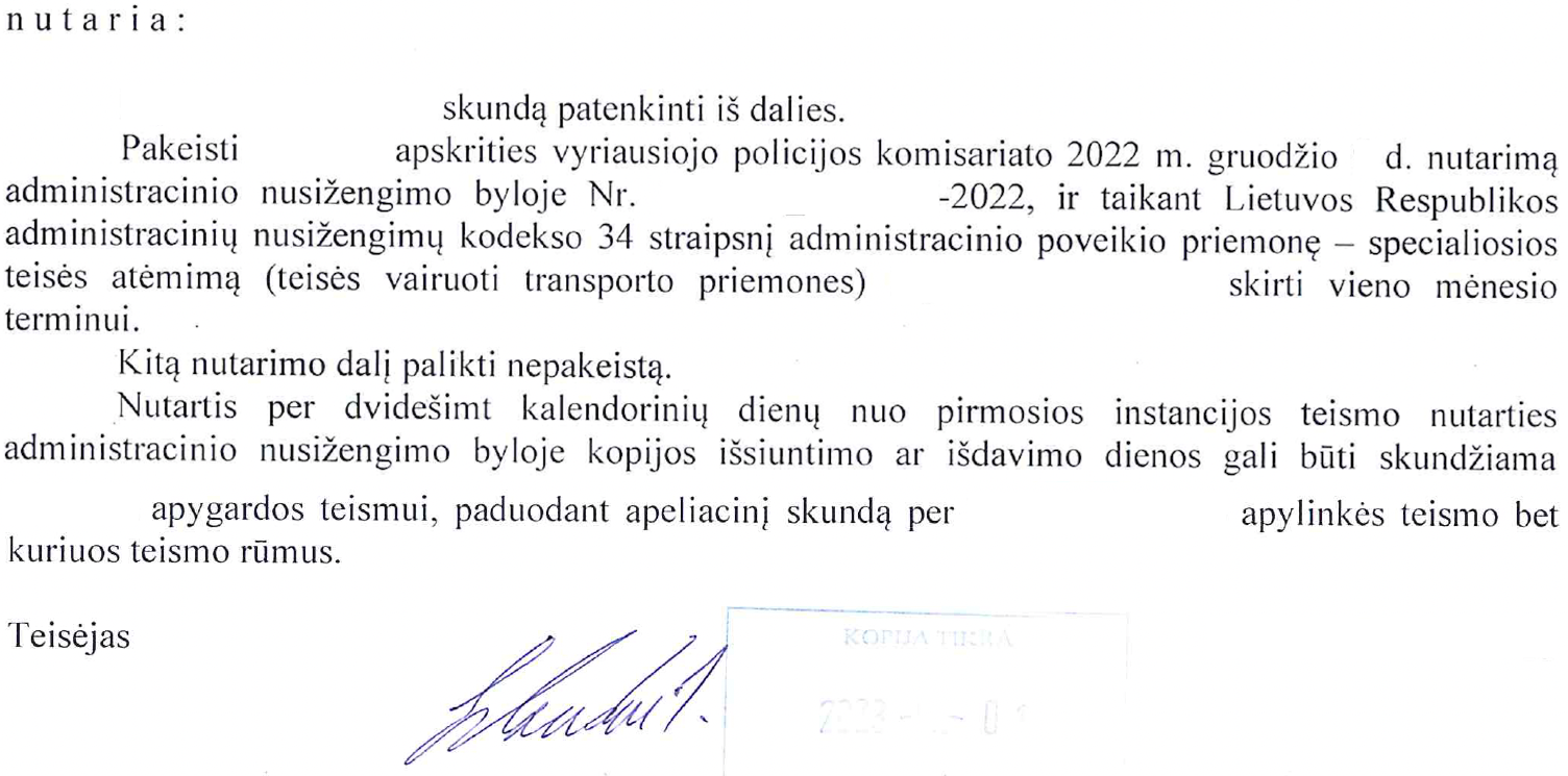 Teismo sprendimo rezoliucinė dalis